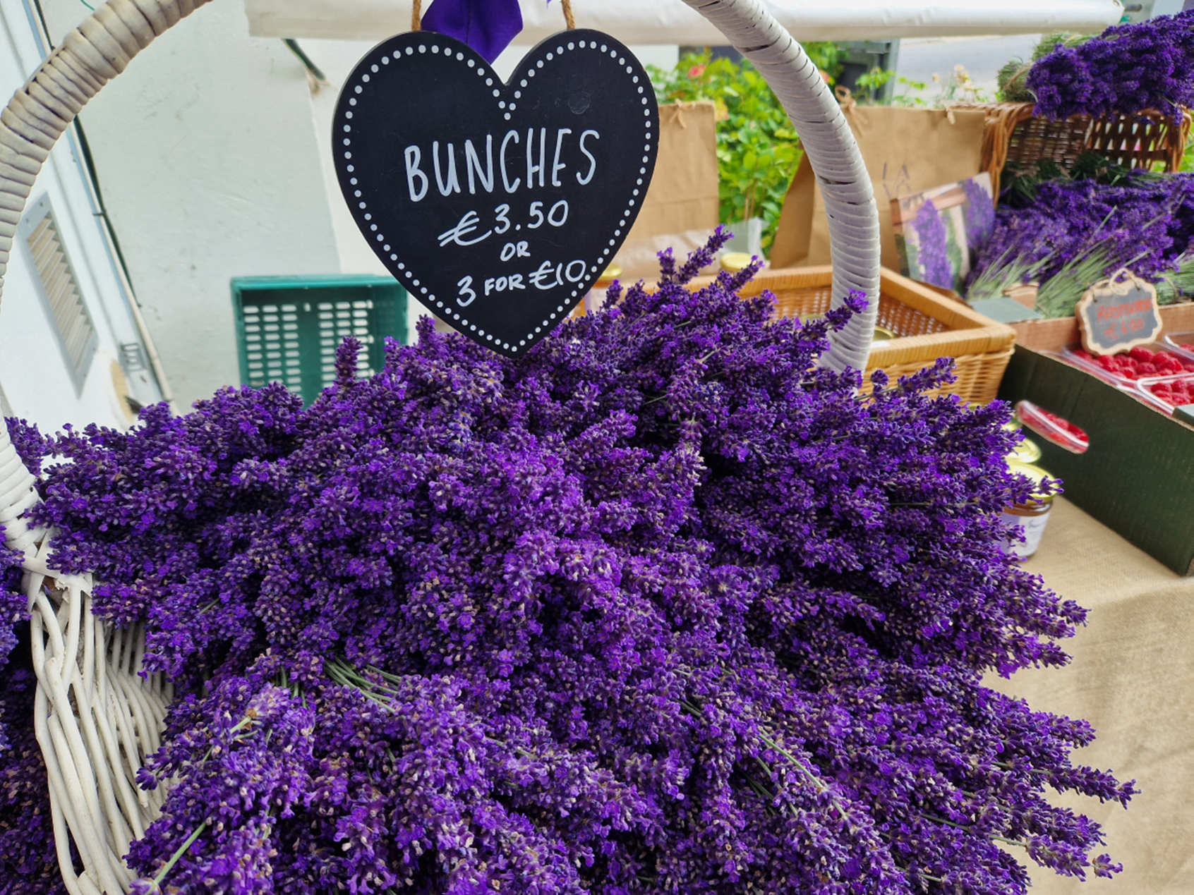 Dried Lavender Bunches - Lavender Bee Farm